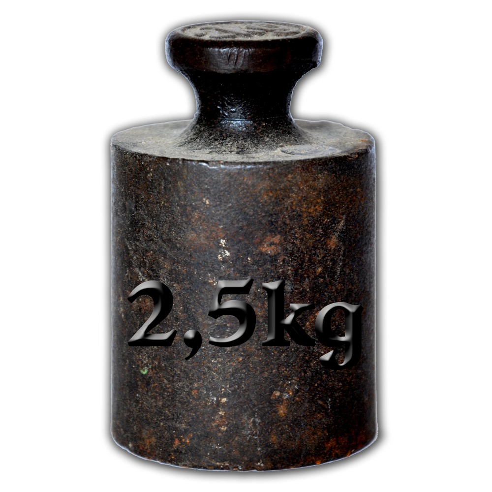 2,5 kg