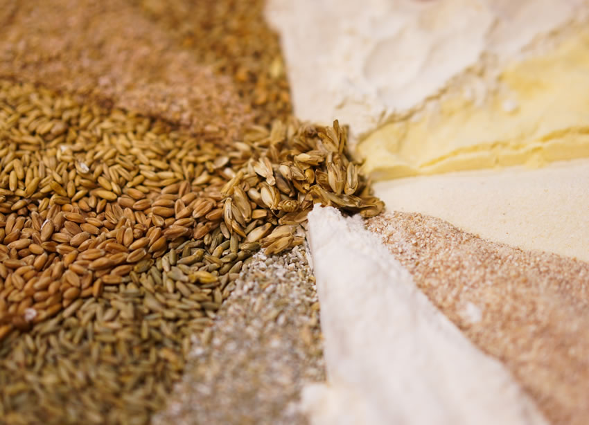 K�rner/Getreideerzeugnisse